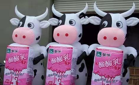 博乐牛奶厂广告气模